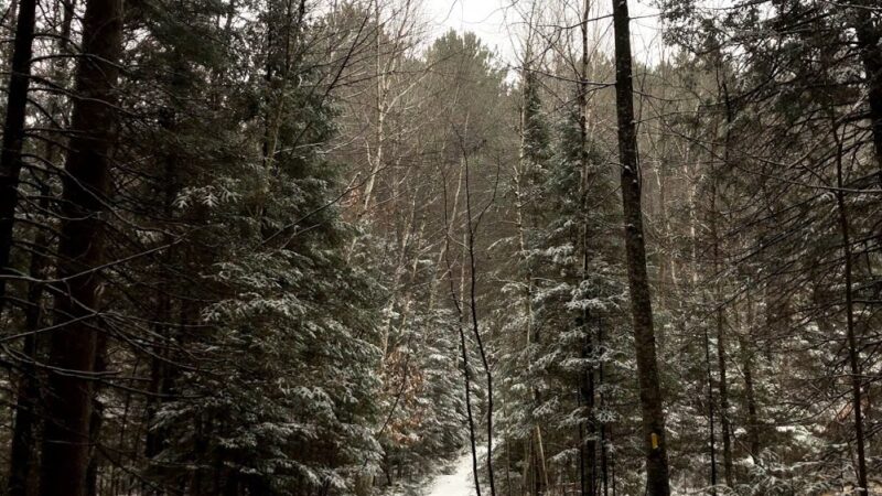 Ice Age Trail - Lake Eleven Segment - Lublin, WI