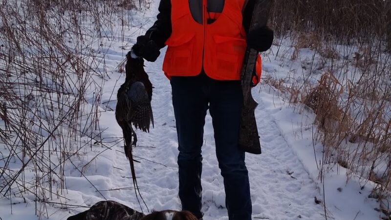 Little Hills Hunting Preserve - Lublin, WI