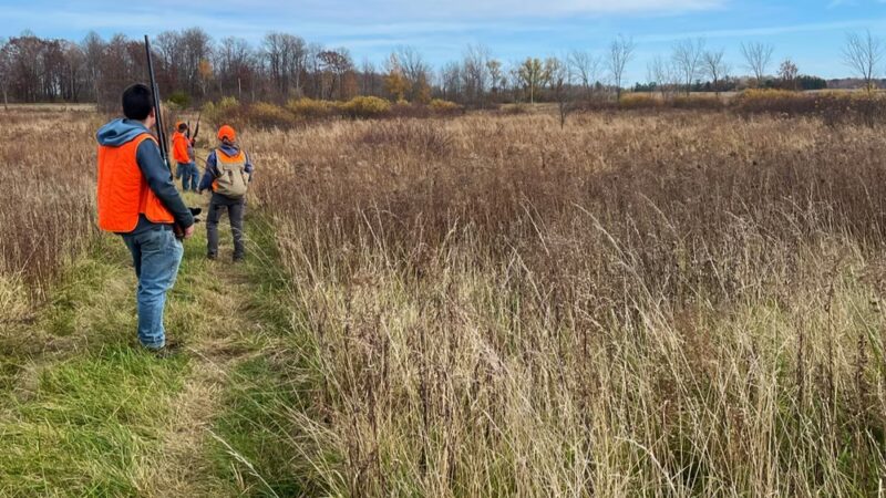 Little Hills Hunting Preserve - Lublin, WI