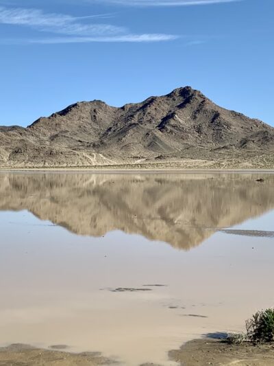 Soggy Dry Lake - Lucerne Valley, CA