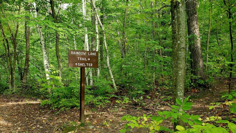 Straight Lake State Park - Luck, WI