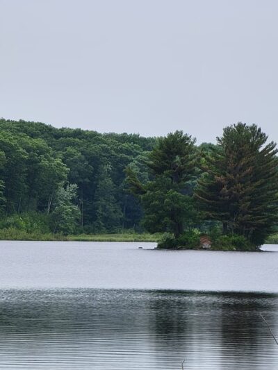 Straight Lake State Park - Luck, WI