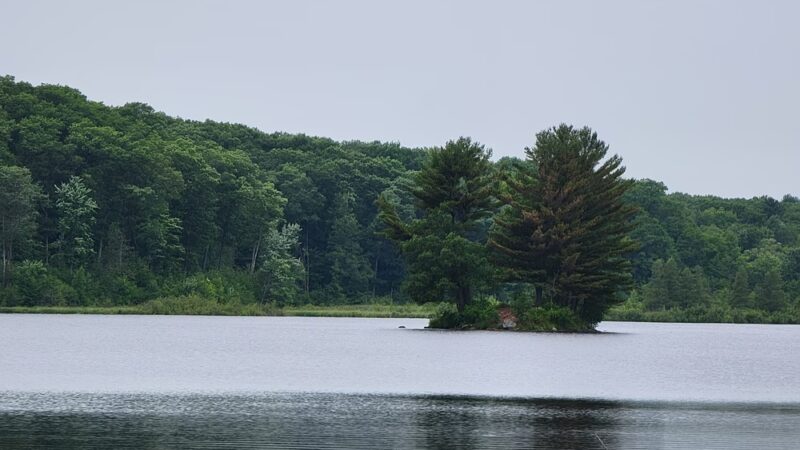Straight Lake State Park - Luck, WI