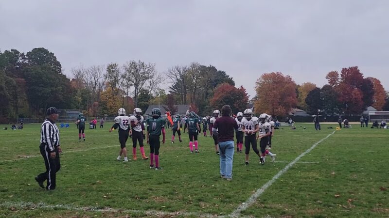 Whitney Park - Ludlow, MA