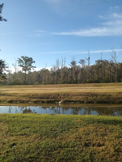 Rathborne Park - Luling, LA