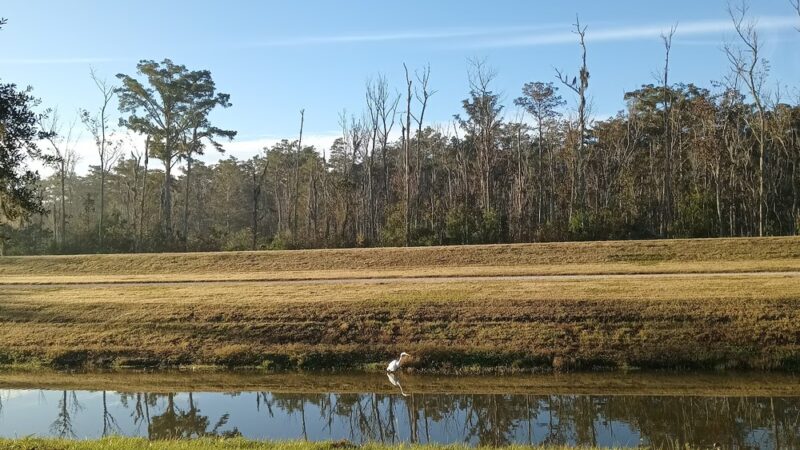Rathborne Park - Luling, LA