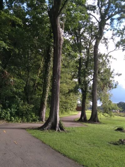 Rathborne Park - Luling, LA