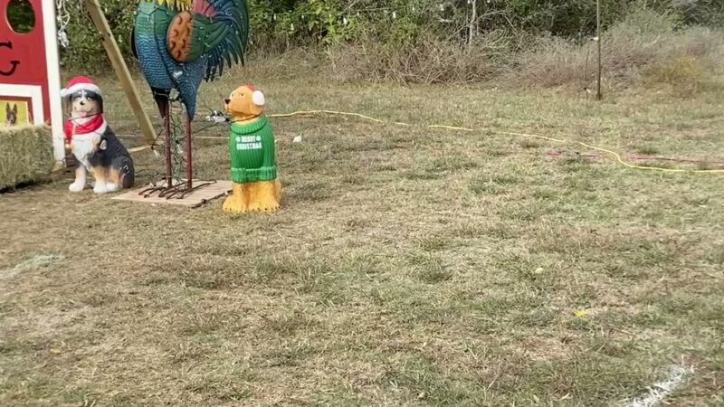 BarnDog - Luling, TX