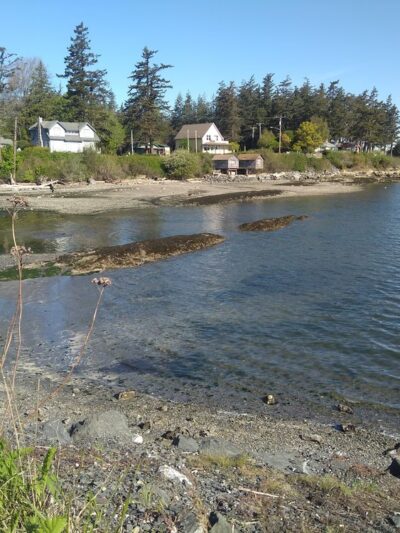 Lummi Island Beach Access - Lummi Island, WA