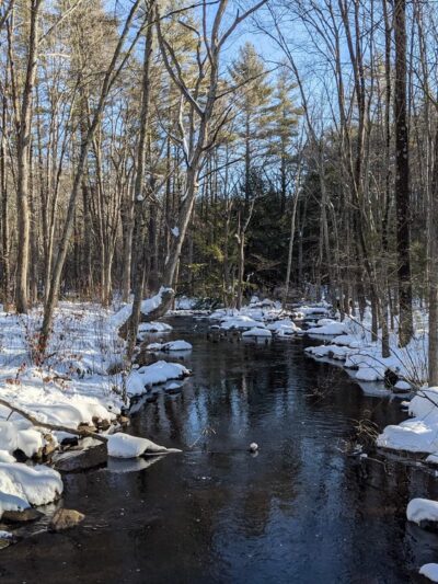 Cowdrey Nature Center - Lunenburg, MA
