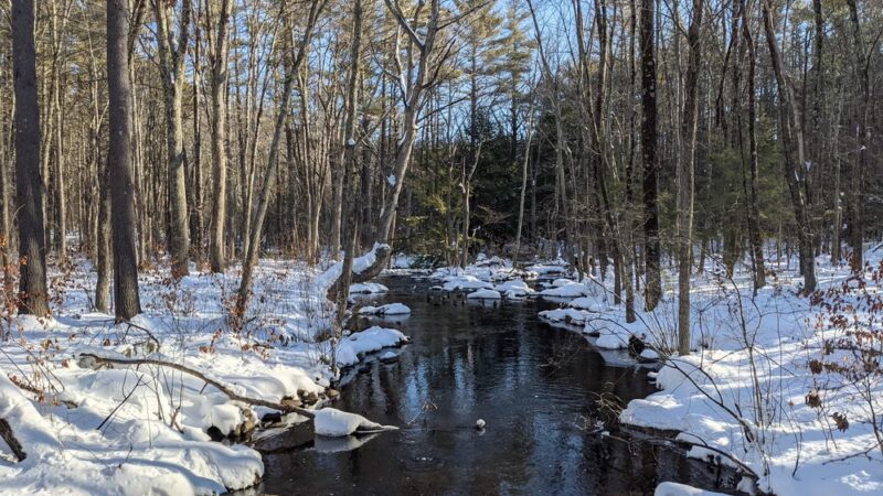 Cowdrey Nature Center - Lunenburg, MA