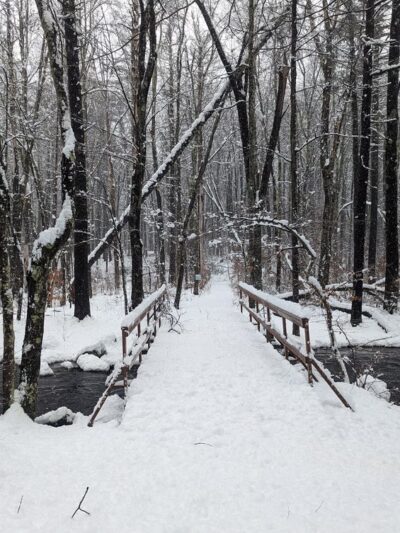 Cowdrey Nature Center - Lunenburg, MA