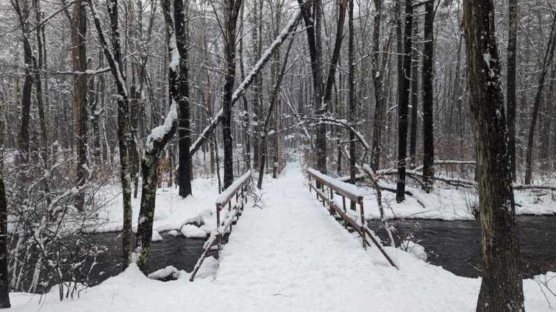 Cowdrey Nature Center - Lunenburg, MA