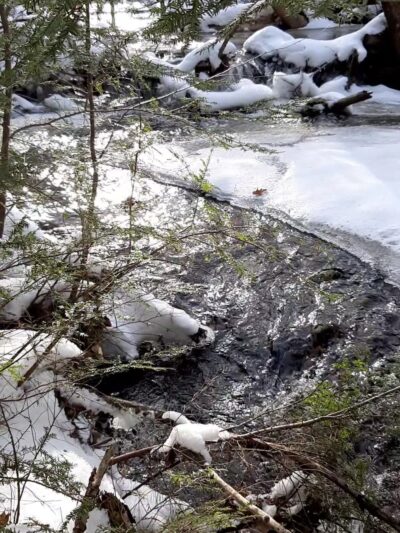 Peabody Conservation Area - Lunenburg, MA