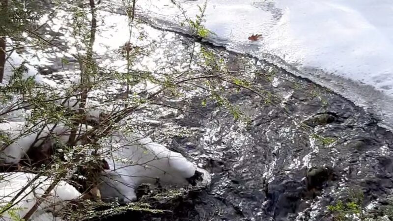 Peabody Conservation Area - Lunenburg, MA