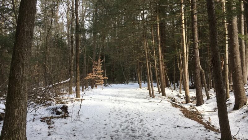 Peabody Conservation Area - Lunenburg, MA
