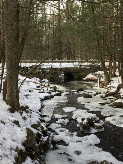 Peabody Conservation Area - Lunenburg, MA