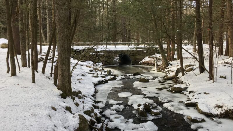 Peabody Conservation Area - Lunenburg, MA