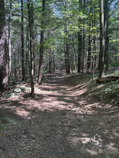 Peabody Conservation Area - Lunenburg, MA