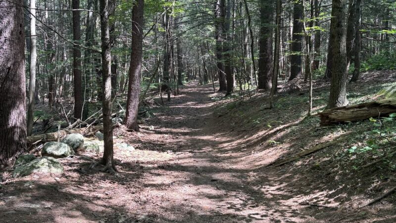 Peabody Conservation Area - Lunenburg, MA