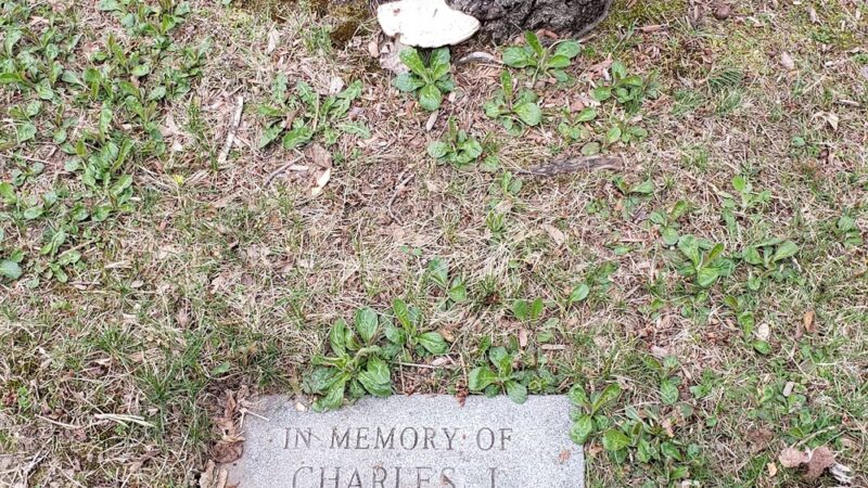 Veterans Memorial Park - Lunenburg, MA