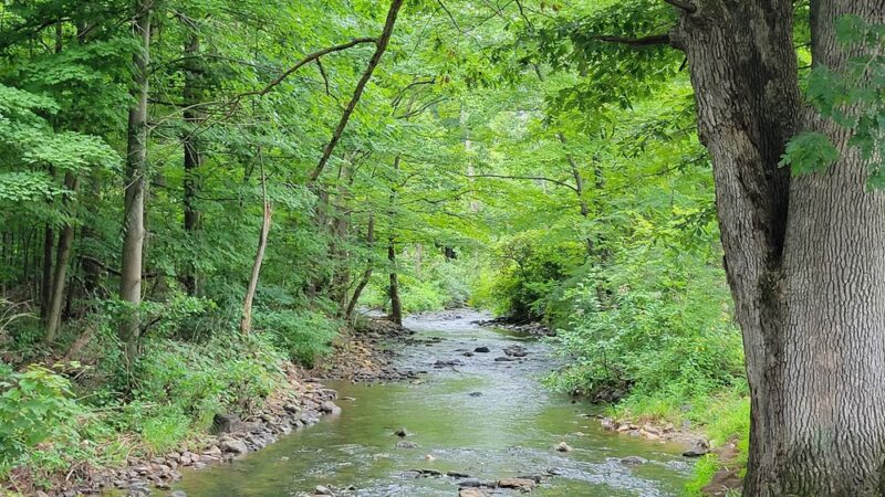 Lurgan Township Lions Club Park - Lurgan, PA