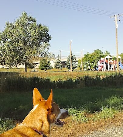 Northside Park - Lusk, WY