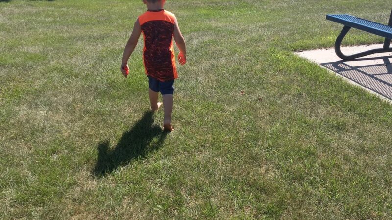 Evergreen Park - Luverne, MN