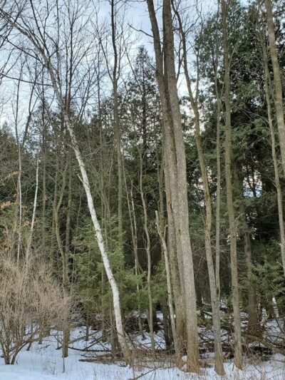 Harold Reckelberg Park - Luxemburg, WI