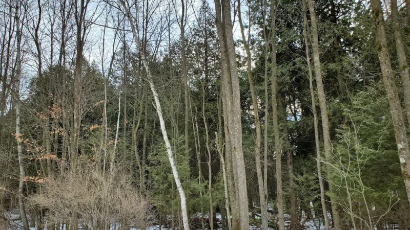 Harold Reckelberg Park - Luxemburg, WI