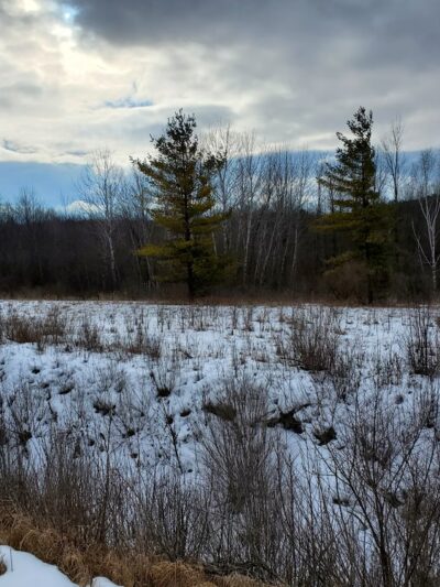 Harold Reckelberg Park - Luxemburg, WI