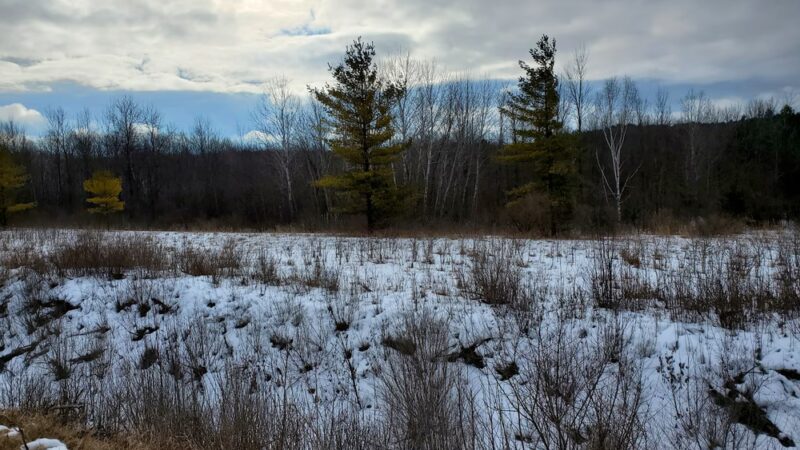 Harold Reckelberg Park - Luxemburg, WI