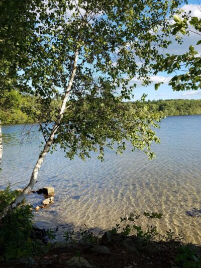 Lyman Town Park at Bunganut Pond - Lyman, ME