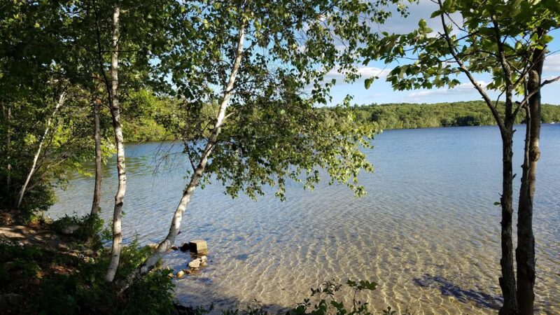 Lyman Town Park at Bunganut Pond - Lyman, ME