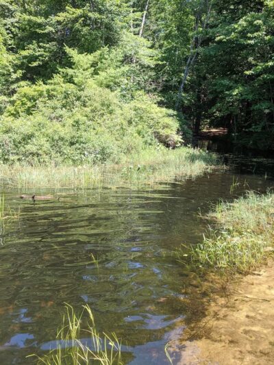Lyman Town Park at Bunganut Pond - Lyman, ME