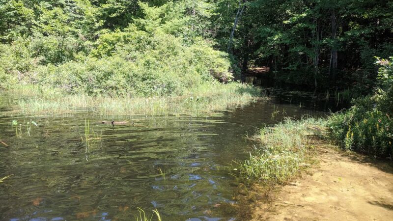 Lyman Town Park at Bunganut Pond - Lyman, ME