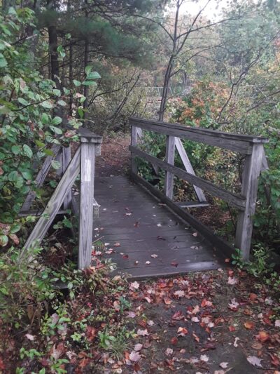 Lyman Town Park at Bunganut Pond - Lyman, ME