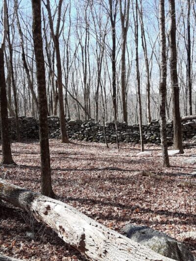 Beebe Trail - Lyme, CT