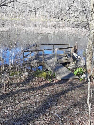 Beebe Trail - Lyme, CT