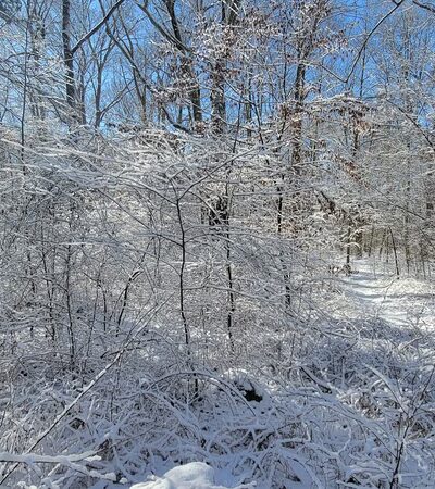 Beebe Trail - Lyme, CT