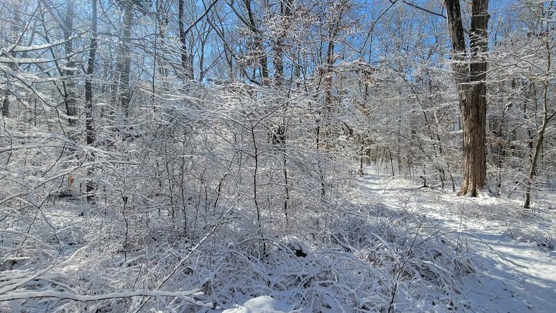 Beebe Trail - Lyme, CT