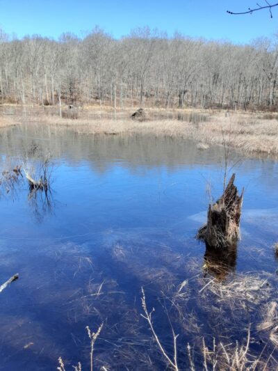 Beebe Trail - Lyme, CT