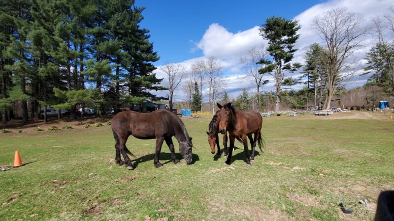 Feel Good Farm Inc. - Lyndeborough, NH