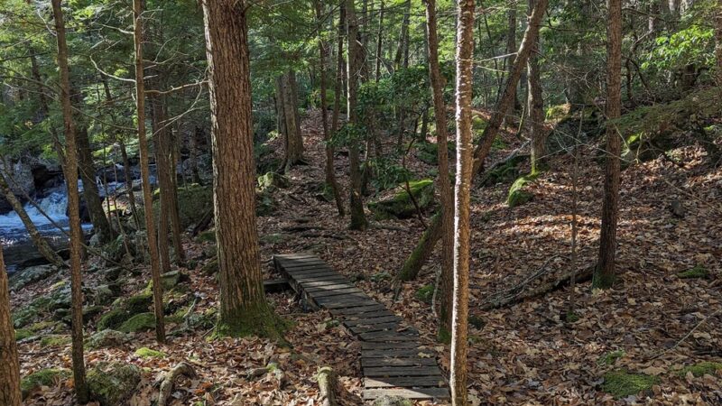 Purgatory Falls - Lower Falls - Lyndeborough, NH