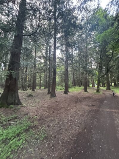 Dickinson Park - Lynden, WA