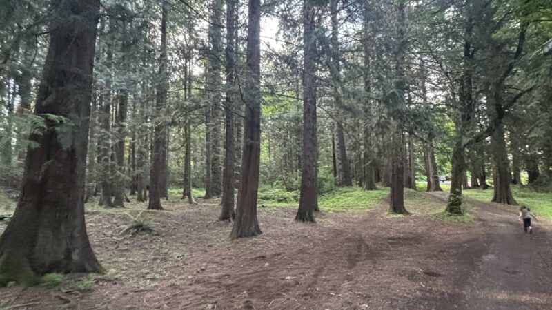 Dickinson Park - Lynden, WA
