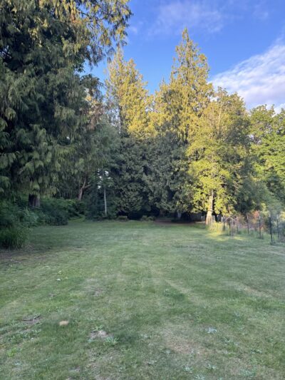 Dickinson Park - Lynden, WA