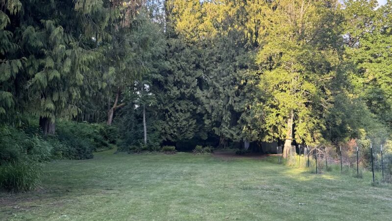 Dickinson Park - Lynden, WA