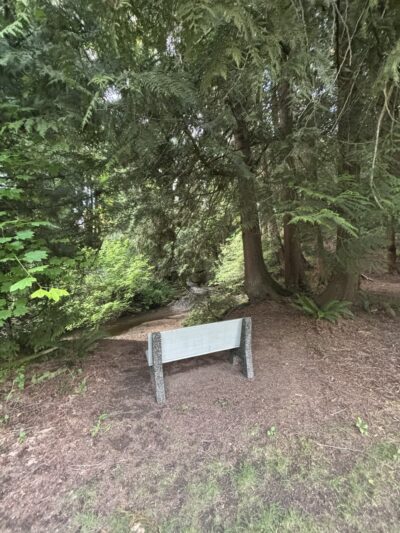 Dickinson Park - Lynden, WA