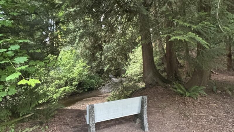 Dickinson Park - Lynden, WA